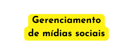 Gerenciamento de mídias sociais