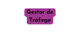 Gestor de Tráfego
